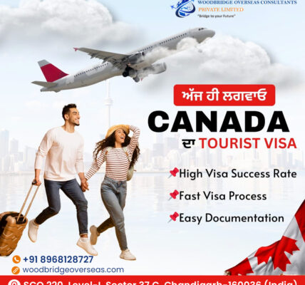 best canada immigration consultants in chandigarh